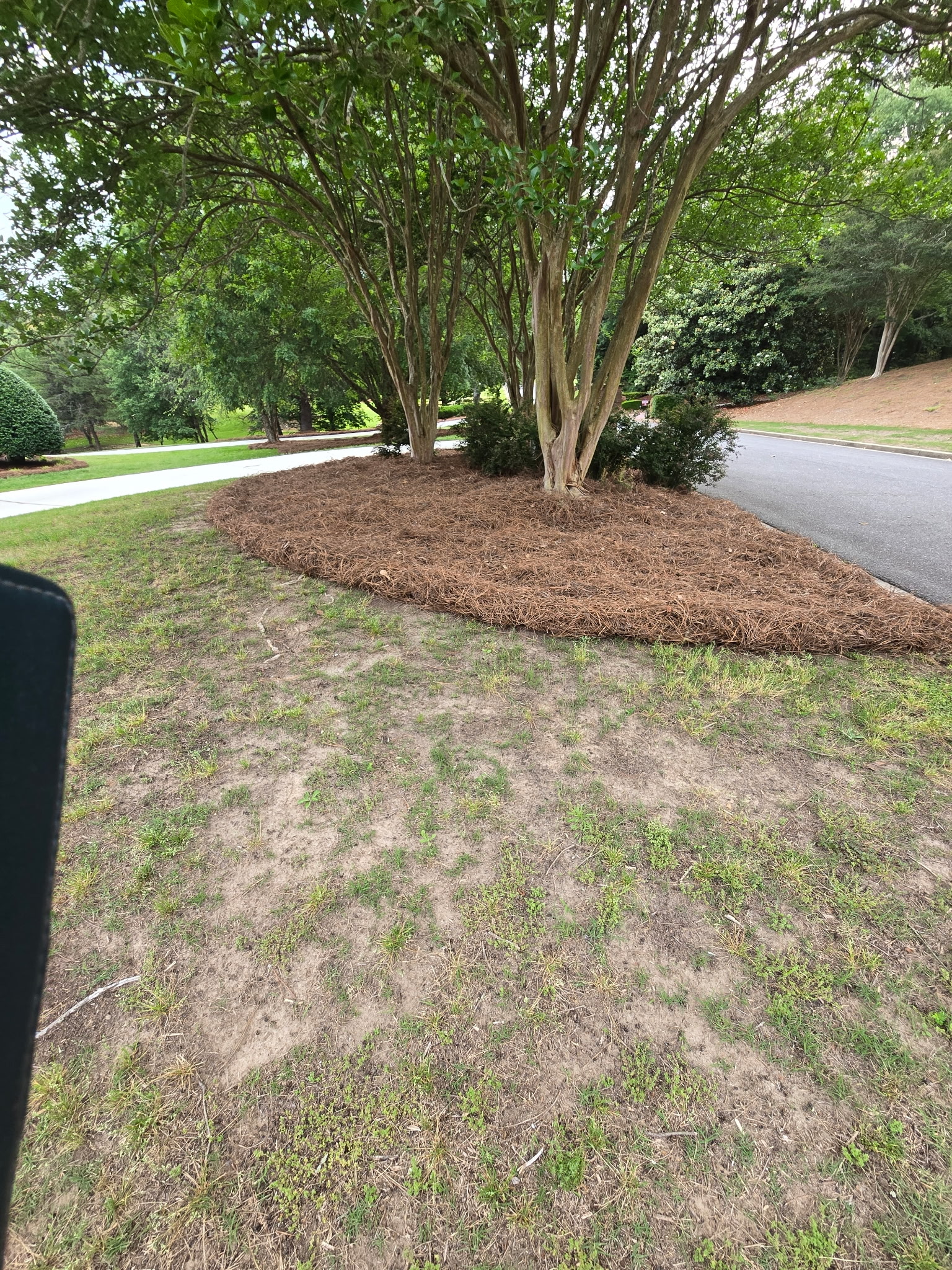 Pinestraw placed down